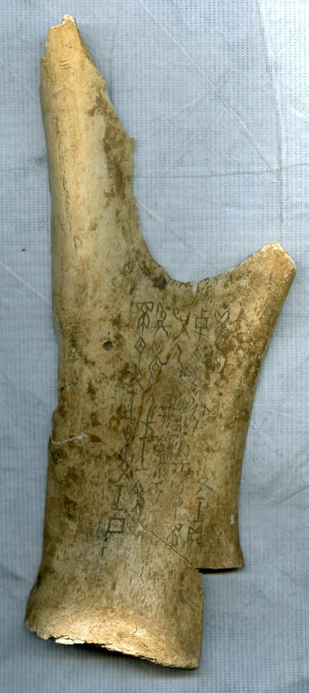 图片[1]-oracle-bone BM-1911-1111.2-China Archive